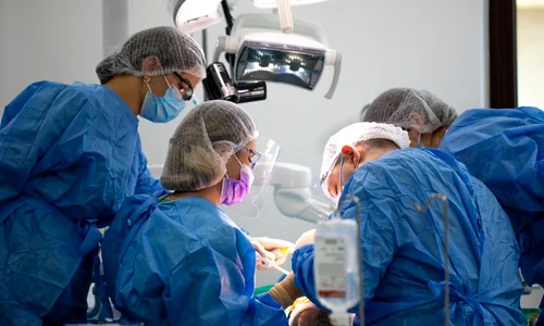 Istoria implantului dentar   de la dinții din fildeș la cei din titan jpeg