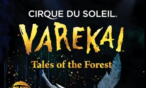 Varekai 2017[41] jpeg