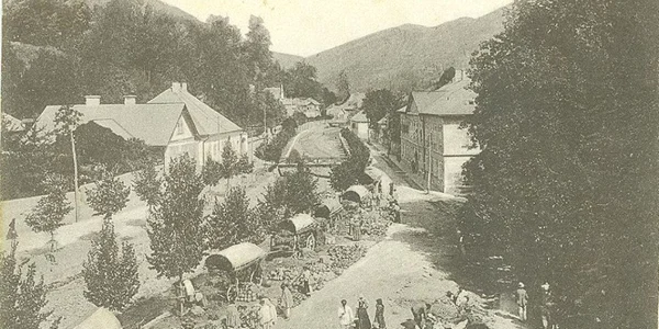 Targ din Apuseni 1900
