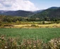 Valea Geoagiului Foto Daniel Guță ADEVĂRUL (53) JPG