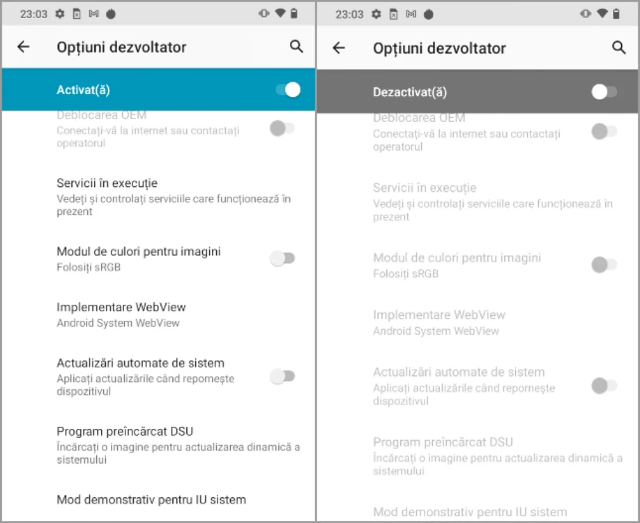 Dezactivare optiuni dezvoltator în Android