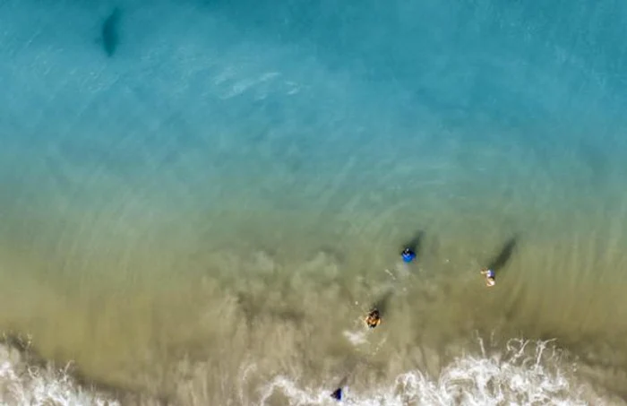 rechin in apropiere de copii pe o plaja din florida foto instagram/ dan watson