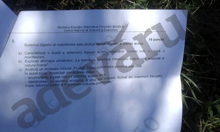 Subiectele de la Biologie - pagina 3