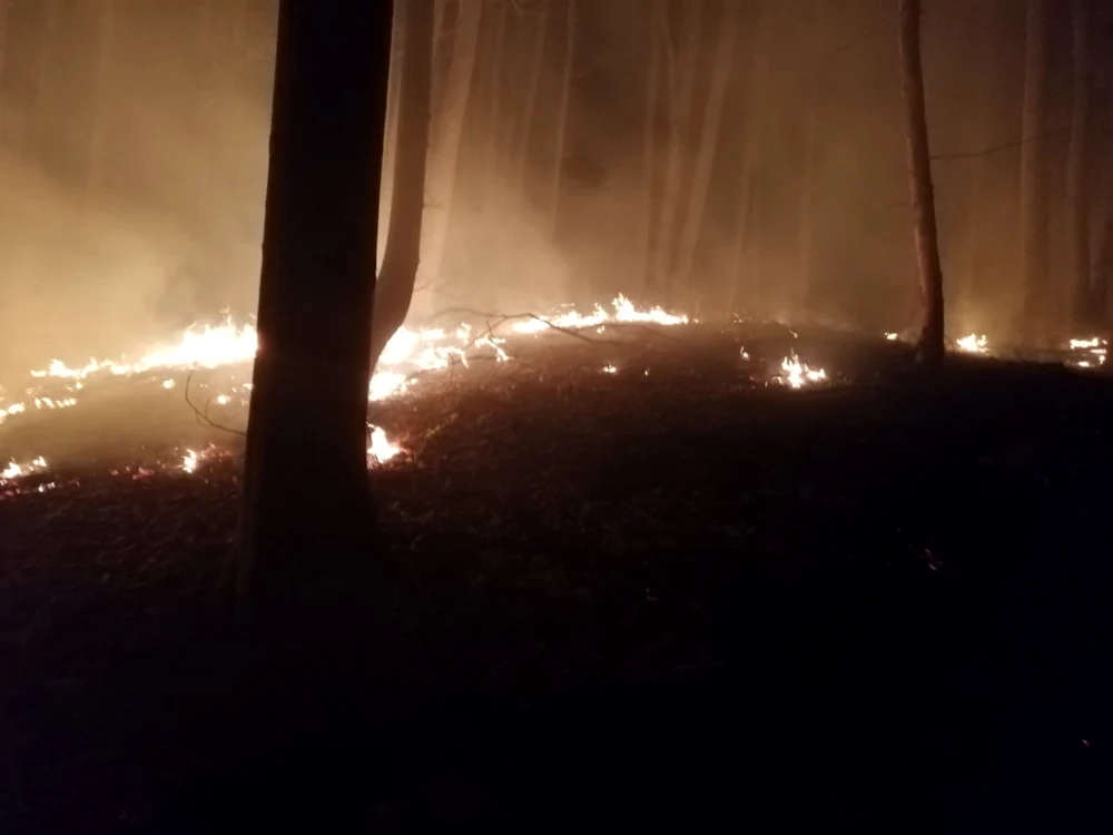incendiu litiera