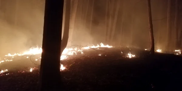 incendiu litiera