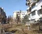 Toaletări abuzive ale arborilor din spaţiul public la Râmnicu Vâlcea Foto Arhiva Simona Mir