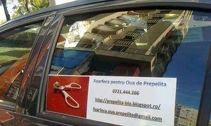 Cu ochii n 3,14 jpeg