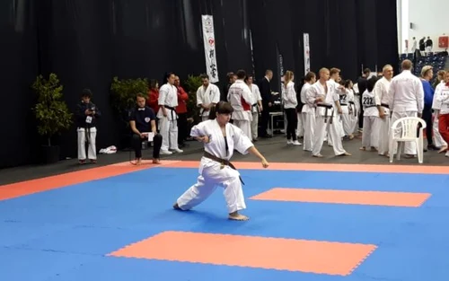 crina gheorghiu karate Galati 2