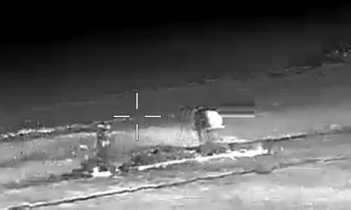 Avion MIG 29 distrus in Crimeea FOTO Captura jpg