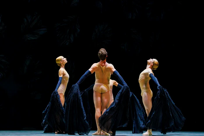 Foto: Petrică Tănase / George Enescu Festival