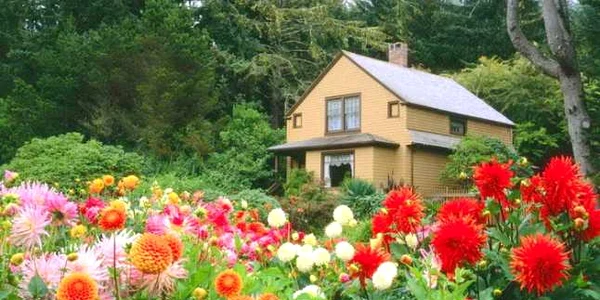 gradina 5
