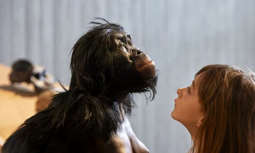 Leagănul omenirii: Care este originea omului și cine au fost strămoșii noștri? jpeg