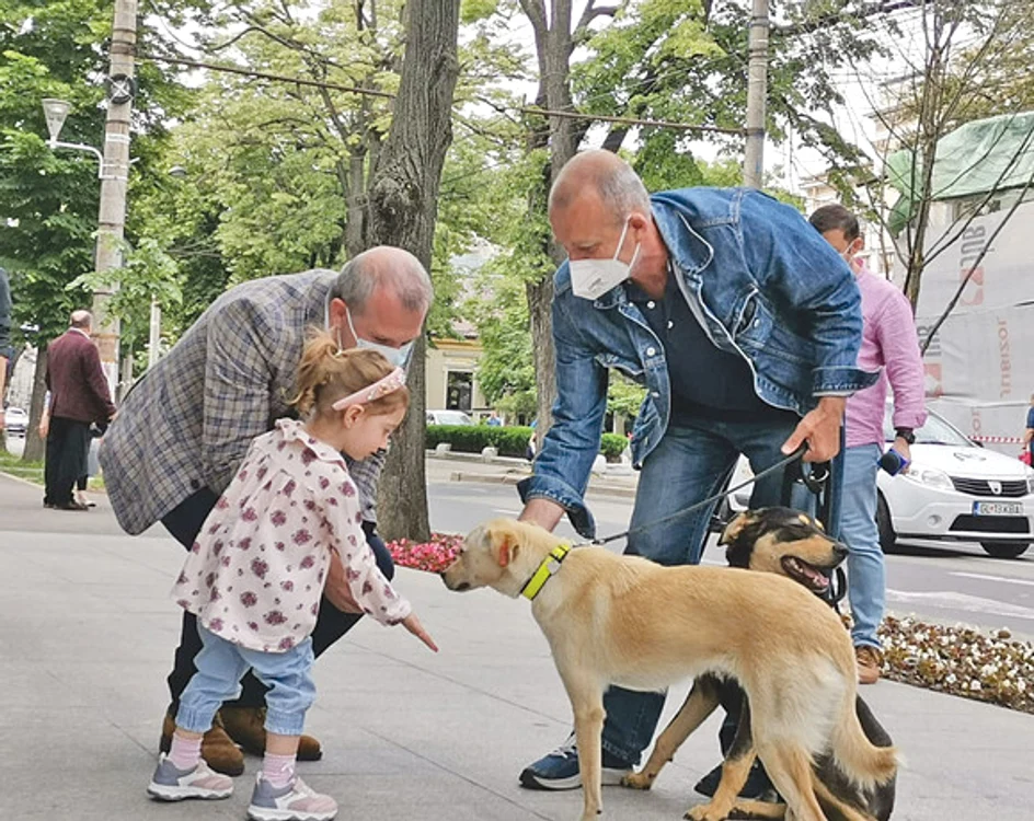 Micuţii adoră să se joace cu animăluţeleFoto: adevarul.ro