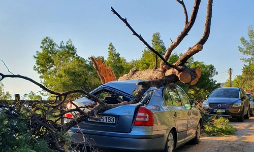 raluca moianu grecia1 jpeg