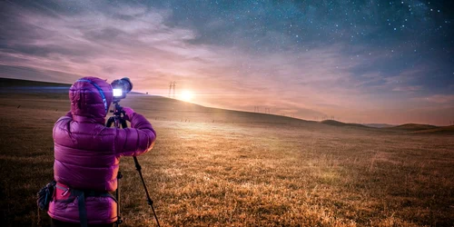 Persidele FOTO Comfreak/Pixabay