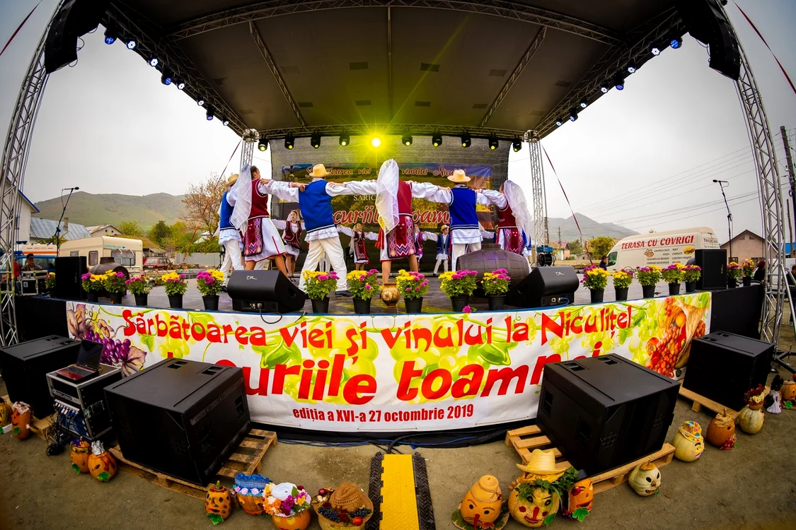 Sărbătoarea Viei și a Vinului (2019) FOTO: Ansamblul Folcloric „Plai de Dor” Niculițel