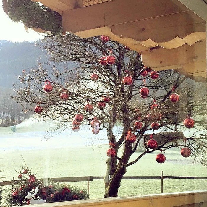 Toţi brazii din curtea casei unde au petrecut Crăciunul au fost împodobiţi