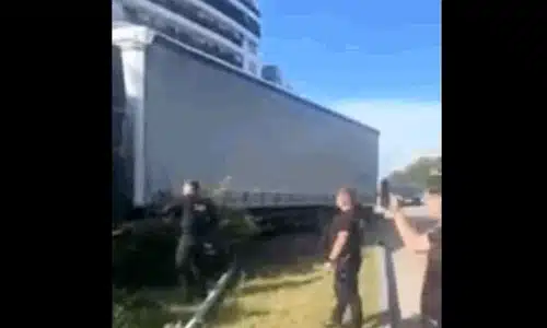 constanta  gif gif