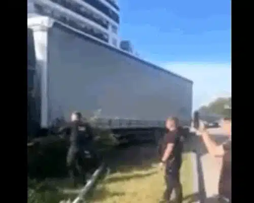 constanta  gif gif