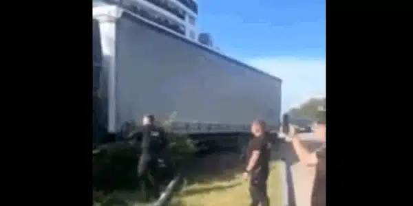 constanta  gif gif