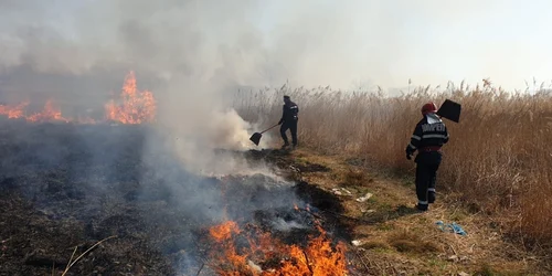 incendiu vegetatie uscata tgv