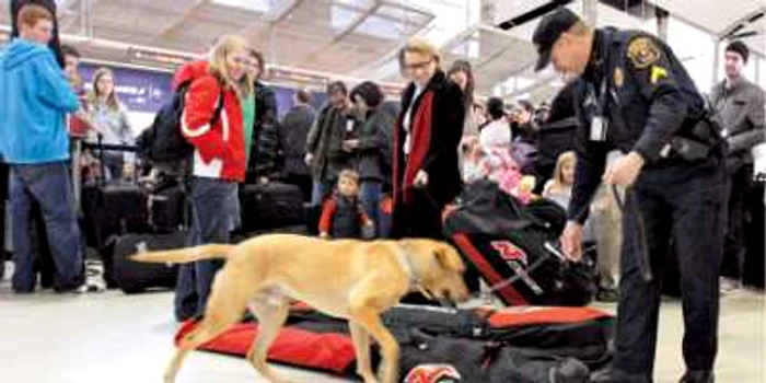 Panică în aeroport