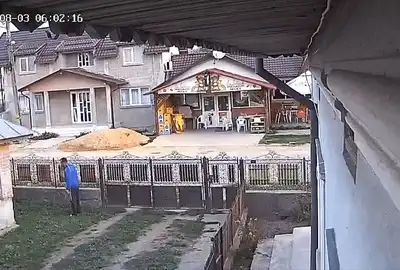 magazin 2 gif