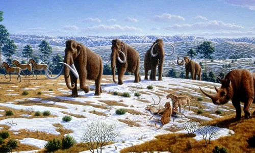 Vânau oamenii preistorici animale uriaşe? jpeg