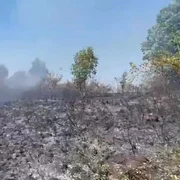 Incendii Caras Severin 20226 Sursa ISU mp4 thumbnail png
