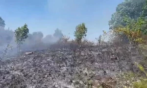 Incendii Caras Severin 20226 Sursa ISU mp4 thumbnail png