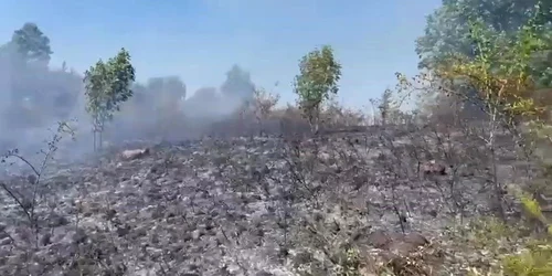 Incendii Caras Severin 20226 Sursa ISU mp4 thumbnail png