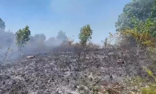 Incendii Caras Severin 20226 Sursa ISU mp4 thumbnail png