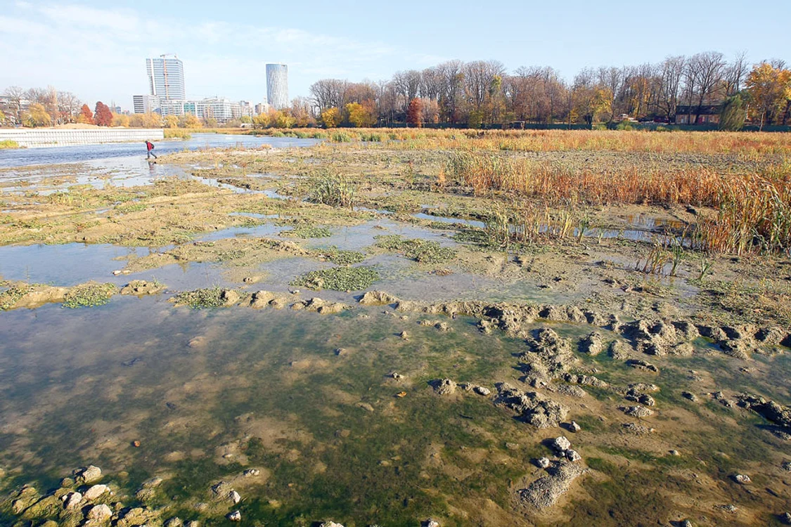 
    Lacul Floreasca poate fi trecut la pas de pe un mal pe altulFoto: Sever Gheorghe  