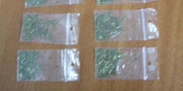etnobotanice galati