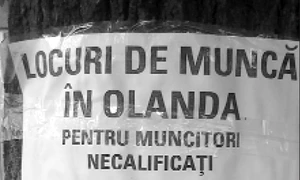 Cu ochii n 3,14 jpeg