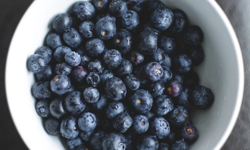 1 blueberries 1149861 1280 jpg jpeg