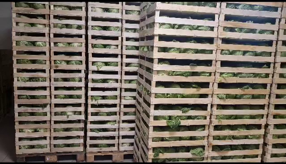 Cum îi ajută Casa „Unirea” pe producători. Legumicultorii, între „a doua zi avem banii în cont” și „i-au chemat doar pe ai lor” VIDEO