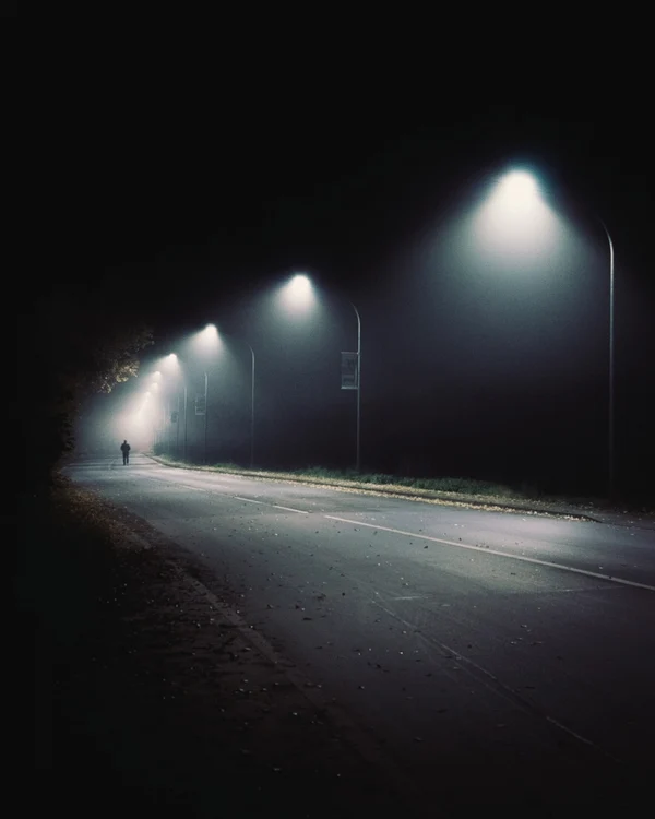 Problema iluminatului public a fost tarnşată la Focşani FOTO: Adevărul
