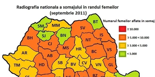 Harta şomajului feminin în 2011