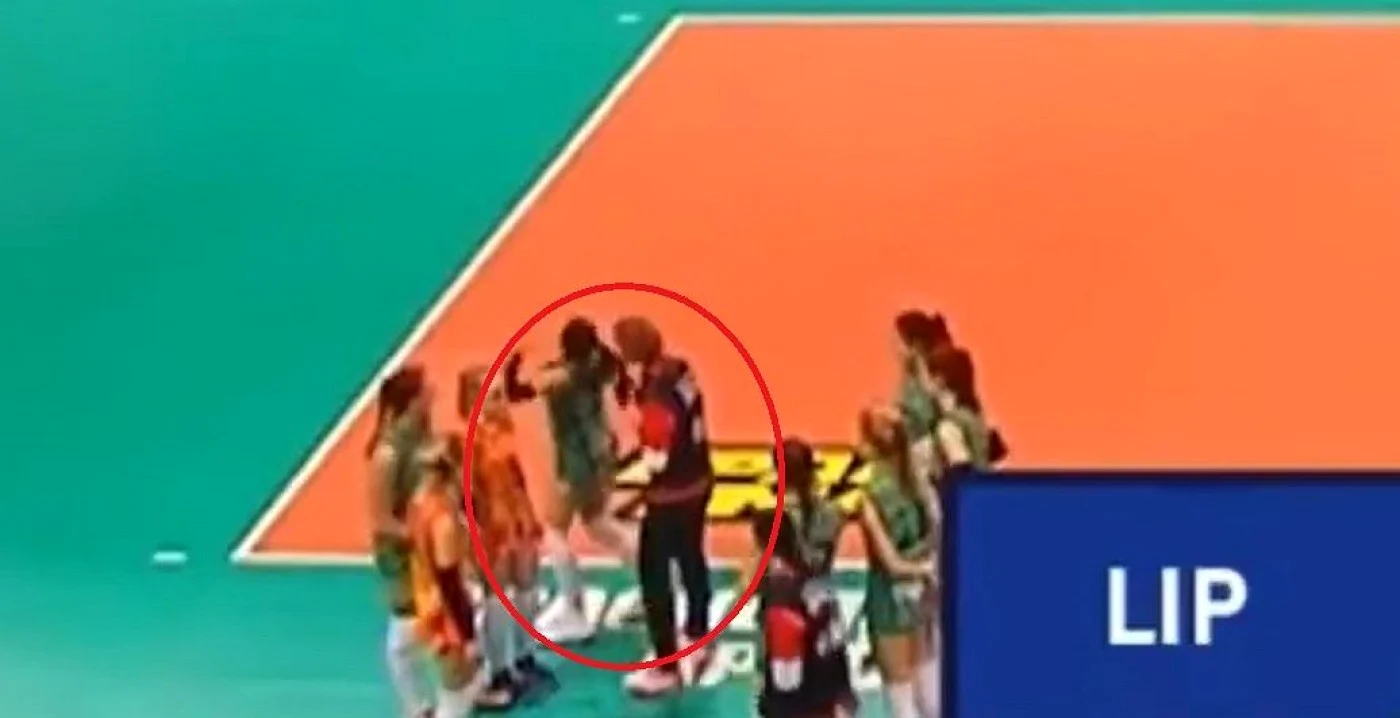 Volei