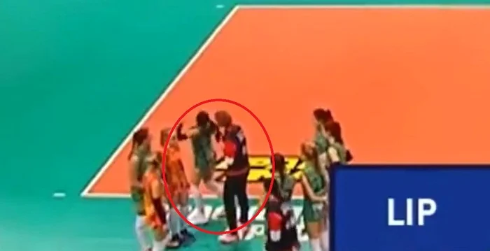 Volei