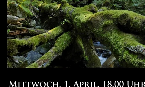 Parcurile naţionale din România în fotografii jpeg