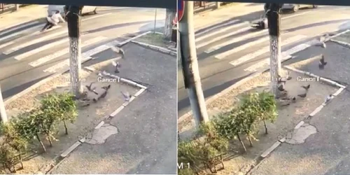 Accident surprins de o cameră de luat vederi pe o trecere de pietoni din Râmnicu Vâlcea Foto captură video