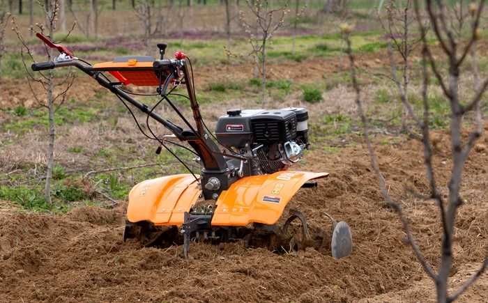 Top 3 motive pentru care merită să te muți definitiv la țară