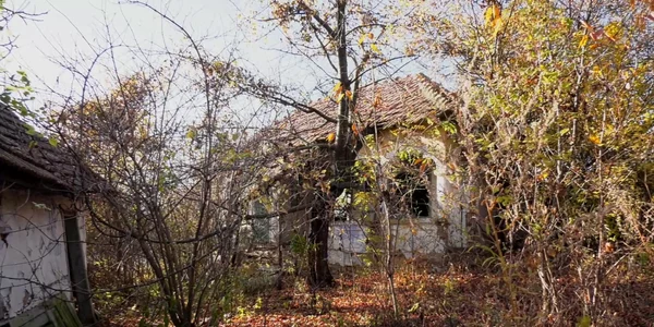 buzau