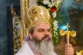 ps ignatie autor jpg webp