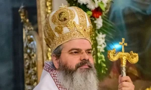 ps ignatie autor jpg webp