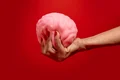 still life with human brain jpg