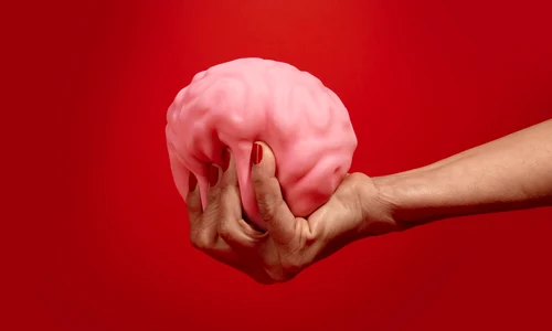 still life with human brain jpg