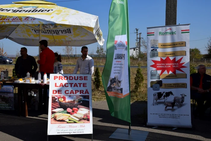 festivalul caprei